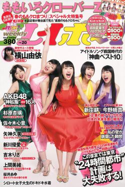 南安太妃传